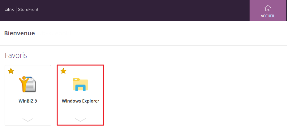 Windows Explorer.png